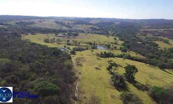 Imagem 3: Fazenda à Venda em Indiara - GO | 47 Alqueires