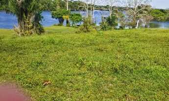 Imagem 3: Fazenda 1.500 x 2.000 com 30 cabeças de gado Autazes 1.100.000