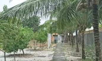 Imagem 4: SITIO DE 3/4 EM AREMBEPE