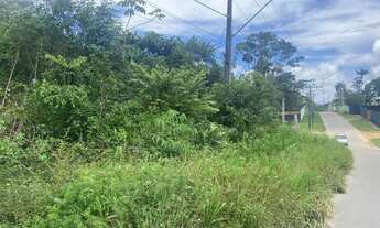 Imagem: Uma oportunidade única para investir ou