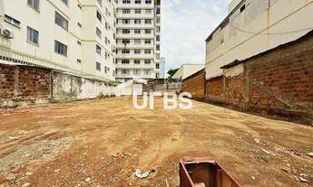 Imagem 3: Lote Setor Oeste