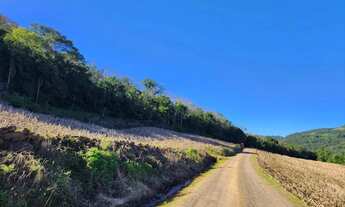 Imagem 6: Sítio / Chácara para Venda em Nova Petrópolis, Pinhal Alto