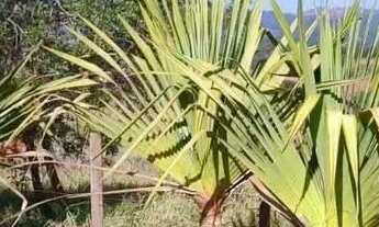 Imagem 2: Terreno com 1.000m² à Venda por Financiamento Particular no bairro Recanto do Igarapé em I