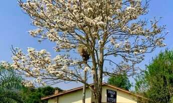 Imagem 7: Sítio de grande porte em Atibaia - Impecável