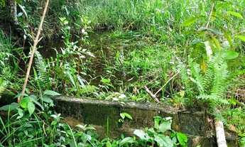 Imagem 2: Vendo excelente sítio em Valença Bahia