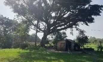 Imagem 2: Velleda oferece lindo sítio 1 hectare em condomínio fechado, centro de Águas Claras