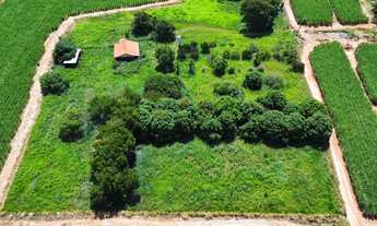 Imagem 4: Vende-se sítio município de Indiaporã