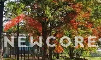 Imagem 2: Lote em - São José do Itavó - Itaipulândia/PR