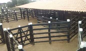 Imagem 6: Vendo Fazenda em Morpará 1.458 Tarefas