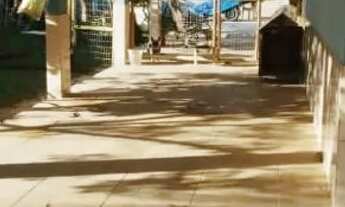 Imagem 7: Casa Linear 3qtos c/ 694m² de terreno