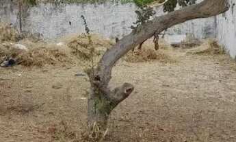 Imagem 5: Terreno para venda, Areão, Cuiabá