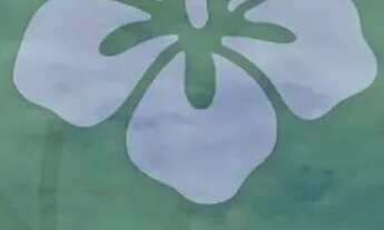 Imagem: Terrenos para venda com 1000 metros quadrados