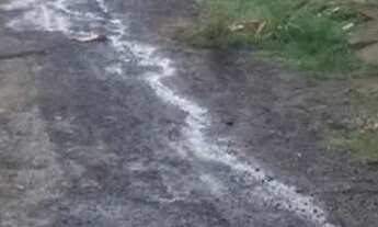 Imagem 4: Casa Casa com 2 dormitórios