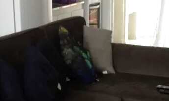 Imagem 4: Duplex Nos Ingleses - Aluguel Anual