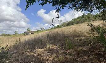 Imagem 3: Sítio com casa Chácara com venda por R$100.000