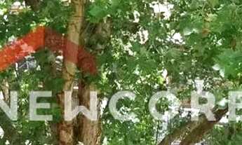 Imagem 2: Apartamento em Rua Doutor Castro de Menezes - Vila Assunção - Porto Alegre/RS