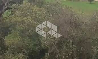 Imagem 4: Vendo Lote no Santa Cristina