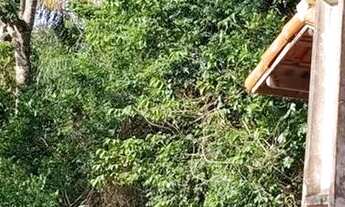 Imagem 4: Fazenda/Sítio/Chácara para venda com 160 metros quadrados com 2 quartos