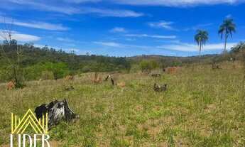 Imagem 6: LOTES A 10 MINUTOS DE TERRA PRETA