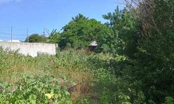 Imagem 3: Terreno Residencial para Venda em Araruama, PARATY