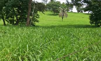 Imagem: Alugo Pasto Abadia de Goiás _ 3 Alqueire