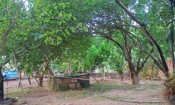 Imagem 3: Chácara a venda (ágio