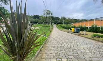 Imagem 2: CAXIAS DO SUL - Terreno Padrão - LINHA 40