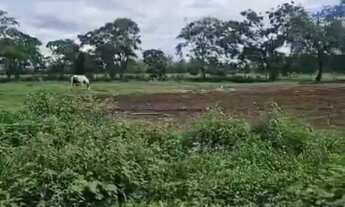 Imagem 6: Imóvel para venda possui 1200000 metros quadrados em Jardim Residencial Golden Park - Jaca