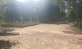 Imagem: Vende-se um sítio na região urubuzinho!