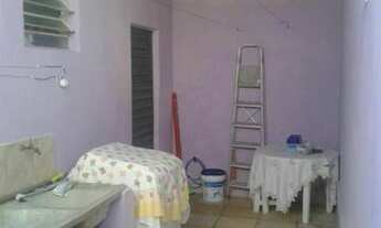 Imagem 3: Casa em salgueiro