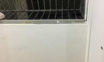 Imagem 4: Baratinho. Próx Assembléia Legislativa liga 9 8 7 4 8 3 1 0 8 Diego9989f