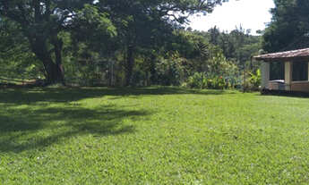 Imagem 5: Excelente Fazenda de 15 na divisa Pitangui/Pará de Minas MG