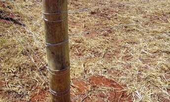 Imagem 2: Vendo chácara em Macedonia/Santa Izabel