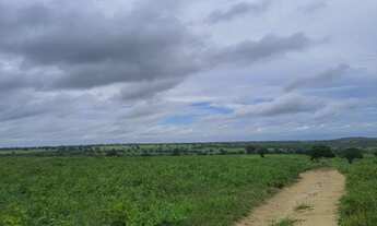 Imagem 7: Excelente Fazenda com 288 hectares na região de cajazeiras entre Macaíba e bom Jesus-RN