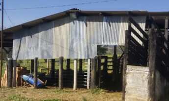 Imagem 4: Fazenda Com 31 Alqueires A 40 Km Da Ponte Jk. quartos