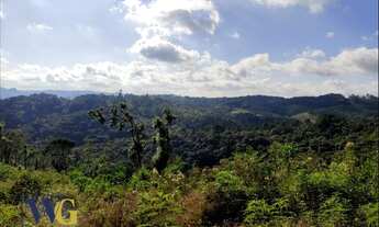 Imagem 7: Terreno Rural para Venda em Campo Largo, Itaqui de Cima