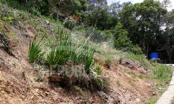 Imagem 4: FLORES DA CUNHA - Sítio - Centro