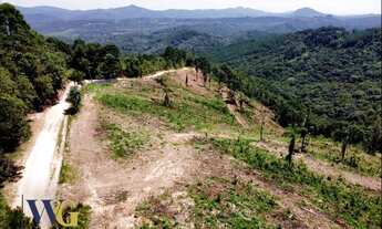 Imagem 3: Terreno Rural para Venda em Campo Largo, Itaqui de Cima