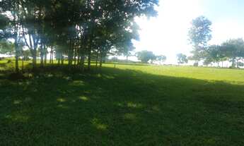 Imagem: Fazenda em Goiânia