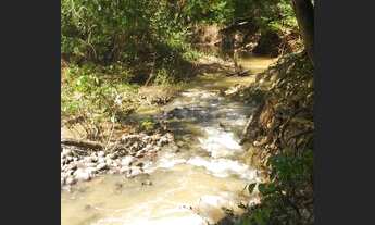 Imagem 7: Vende-se uma fazendinha de 13.31 hectares a 30km de moc