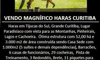 Imagem 2: Haras para Venda, localizado na cidade de Tijucas do Sul / PR, ponto de referência TIJUCAS
