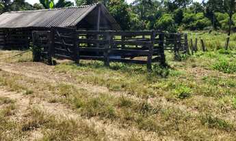 Imagem 5: Vendo Chacara de 6,4 hects , [ 1,32 ] alqs. proxima a Lajeado