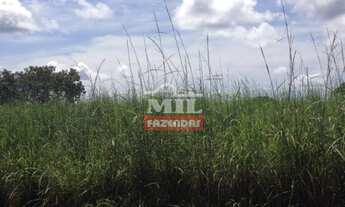 Imagem 7: Fazenda Beira Tocantins. > 1.000 Alq. (4.840 Há). p/ Soja