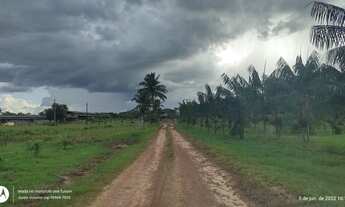 Imagem 3: Granja 40 mil bicos e plantação de pimenta do reino e açaí R$600 mil