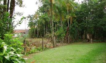 Imagem: Jaraguá do Sul - Terreno Padrão - Barra