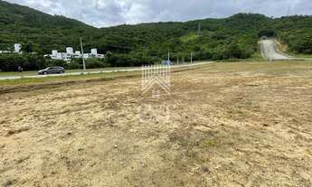 Imagem 6: LOTE PLANO 360 M² A VENDA EM CAMBORIÚ