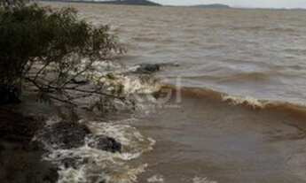 Imagem 6: Porto Alegre - Sítio - Ponta Grossa