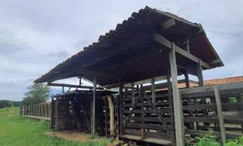 Imagem 4: Excelente Fazenda com 288 hectares na região de cajazeiras entre Macaíba e bom Jesus-RN