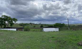Imagem 6: Fazenda as margens da BR 232 com 11 hectares