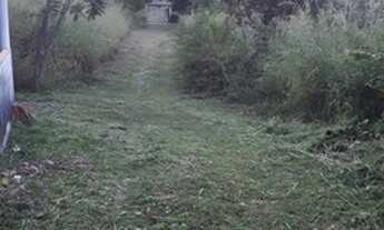 Imagem 3: Fazenda/Sítio/Chácara para venda possui 20000 metros quadrados com 3 quartos